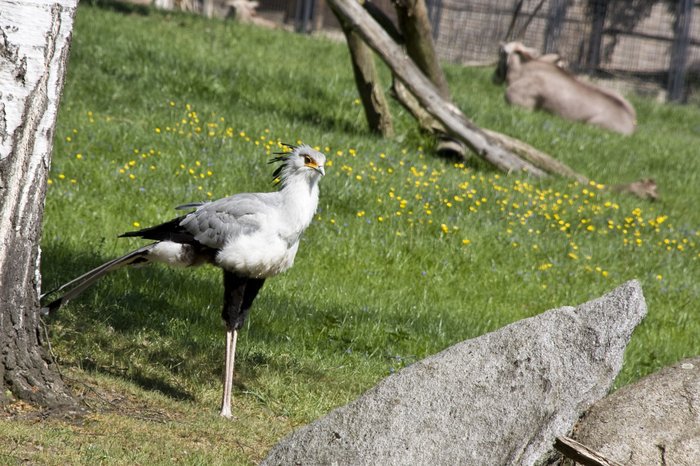 foto_3.jpg